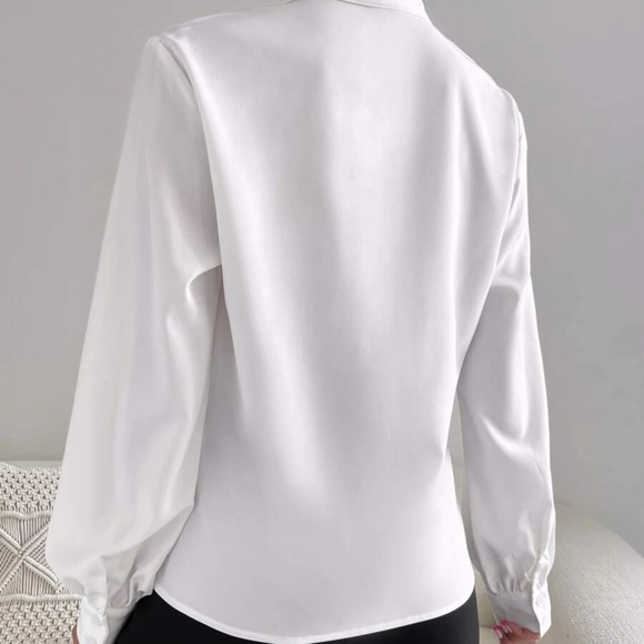 Luxe Surplice Semi Sheer Blouse - Picture 5 of 10